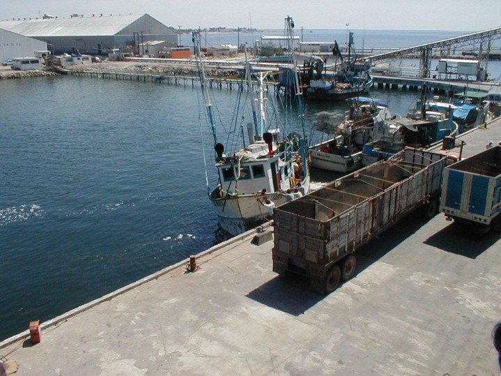 Puerto De San Carlos, BCS
