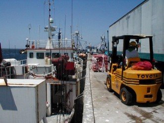 Servicios-Puerto-San-Carlos-6